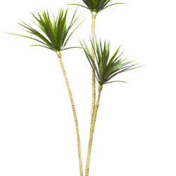 Dracaena Marginata Tree- 1.6m with 3 heads   - artificial plants, flowers & trees - image 2
