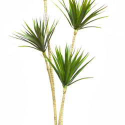 Dracaena Marginata Tree- 1.7m with 4 heads   - artificial plants, flowers & trees - image 2