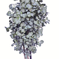 Eucalyptus Tree 1.5m - artificial plants, flowers & trees - image 3