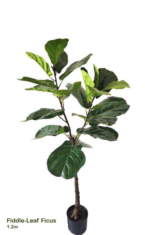 Articial Plants - Fiddle-Leaf Ficus 1.2m
