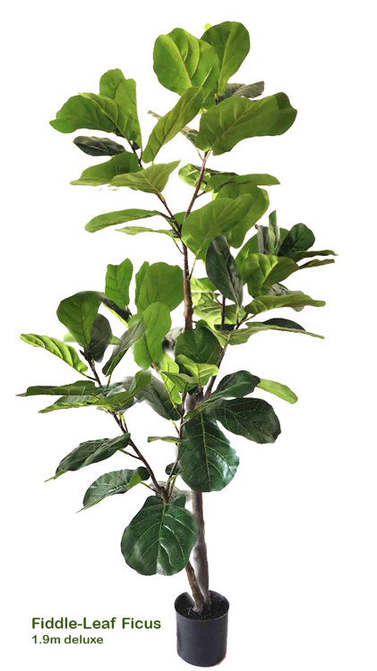 Articial Plants - Fiddle-Leaf Ficus 1.9m delux
