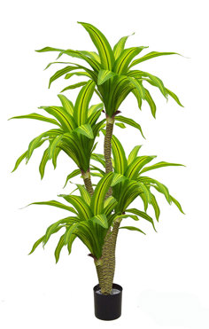 Happy Plant 1.9m quadruple-head