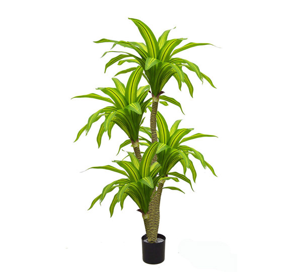 Happy Plant 1.9m quadruple-head