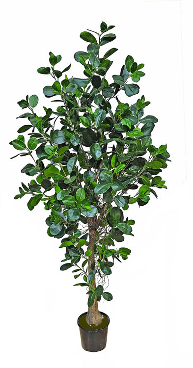 Articial Plants - Moreton Bay Ficus 1.6m