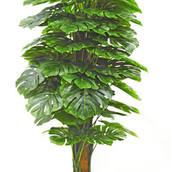 Monsterio 1.5m UV-treated - artificial plants, flowers & trees - image 5