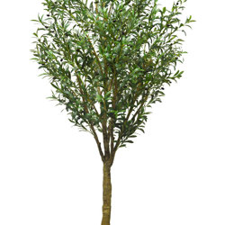 Giant Olive Tree- 3m tall - artificial plants, flowers & trees - image 10