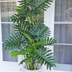 Philodendron 'giant-leaf' 1.8m delux - artificial plants, flowers & trees - image 4