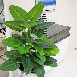 Philodendron 'elephant-ears' 1.8m - artificial plants, flowers & trees - image 2