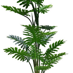 Philodendron 'giant-leaf' 1.7m - artificial plants, flowers & trees - image 4