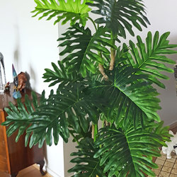 Philodendron 'giant-leaf' 1.1m sml - artificial plants, flowers & trees - image 3