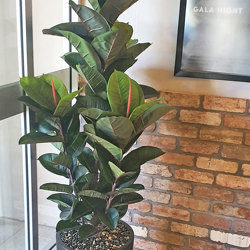 Rubber-Tree 1.3M - artificial plants, flowers & trees - image 1