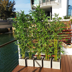 Bamboo UV-treated 1.8m - artificial plants, flowers & trees - image 2