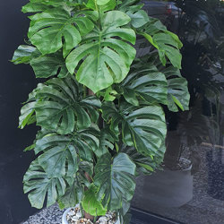 Monsterio 1.2 UV-treated sml - artificial plants, flowers & trees - image 1
