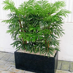 Trough Planters- with Bamboo-Palms 1.3m tall - artificial plants, flowers & trees - image 1