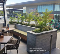 Artificials a better solution for full-sun Hotel planters