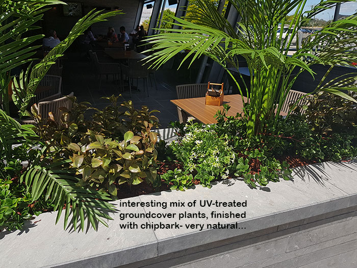 Artificials a better solution for full-sun Hotel planters image 4