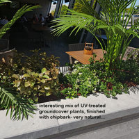 Artificials a better solution for full-sun Hotel planters poplet image 3