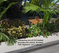 Artificials a better solution for full-sun Hotel planters