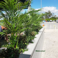 Artificials a better solution for full-sun Hotel planters poplet image 4