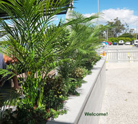 Artificials a better solution for full-sun Hotel planters