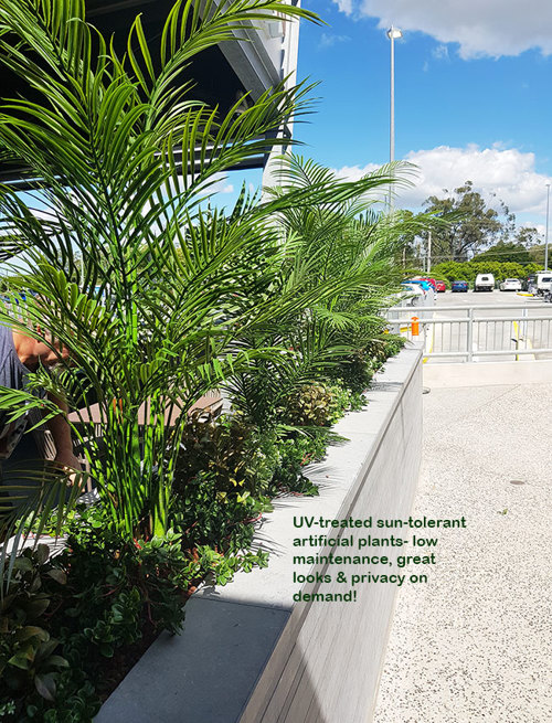Artificials a better solution for full-sun Hotel planters