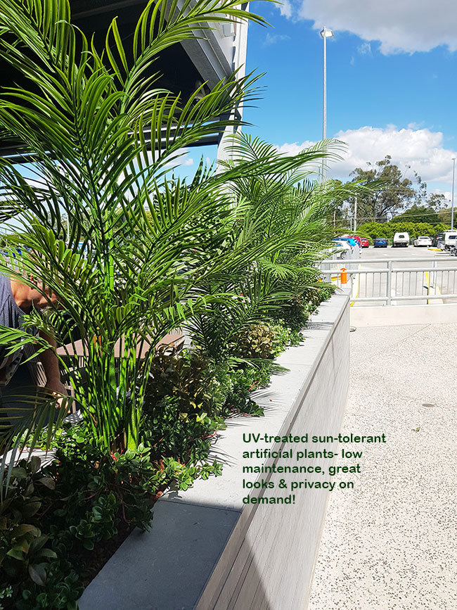 Artificials a better solution for full-sun Hotel planters