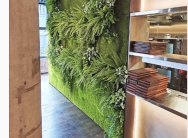 A few examples of Interior Gardens Green Walls installed in 2019