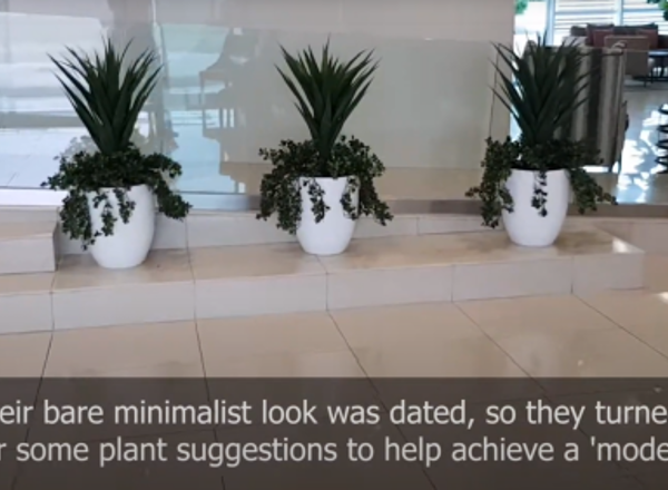 'Green update' for apartment foyers