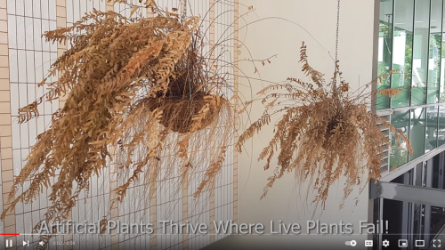 Artificial Plants Thrive Where Live Plants Fail