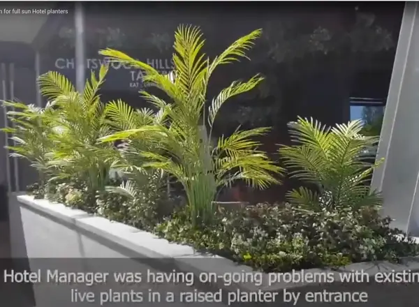 Artificials a better solution for full-sun Hotel planters
