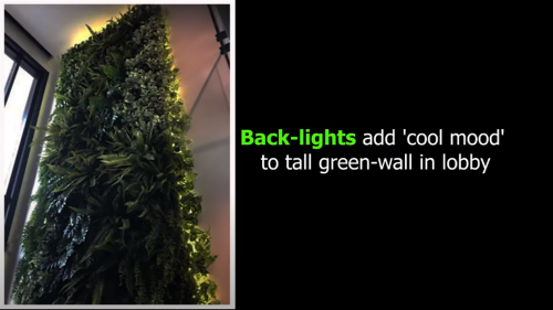 Back-lights add 'cool mood' to tall green-wall in lobby