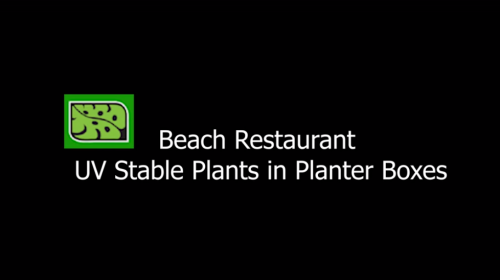 Beach Restaurant - UV Stable Plants in Planter Boxes
