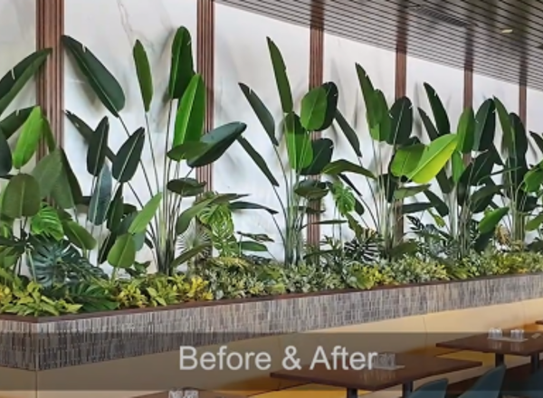 Before & After