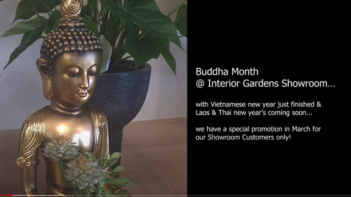 Buddha Month @ Interior Gardens Showroom