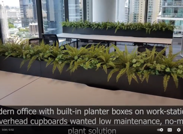 CBD Planters