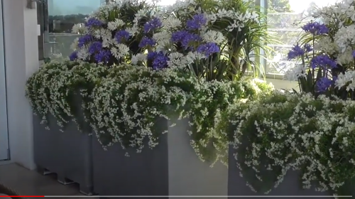 Colour and Greenery Brighten-up Penthouse Balcony