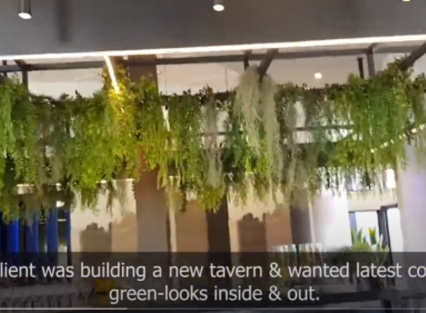 Contempo Bar in new Tavern gets 'finishing green touch