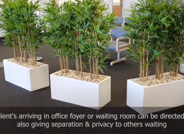 Covid-Barriers - fresh-looking green partitions to direct & screen