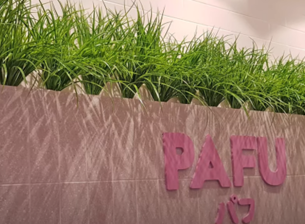 Creating green privacy-screens in café using artificial vines…