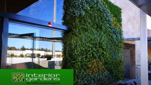 Deluxe Green Wall Installation