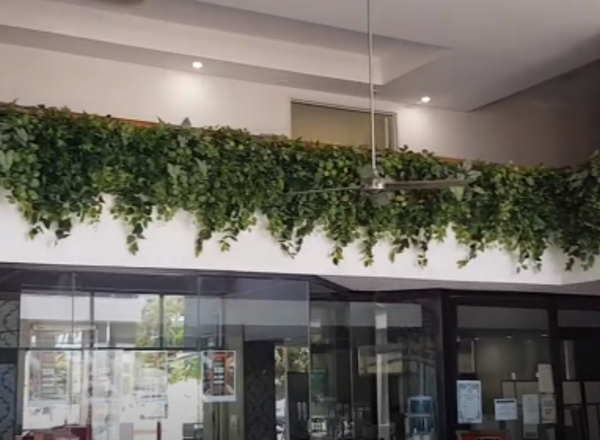 Easy way to add greenery to a bare wall resort foyer gets a 'green hello'