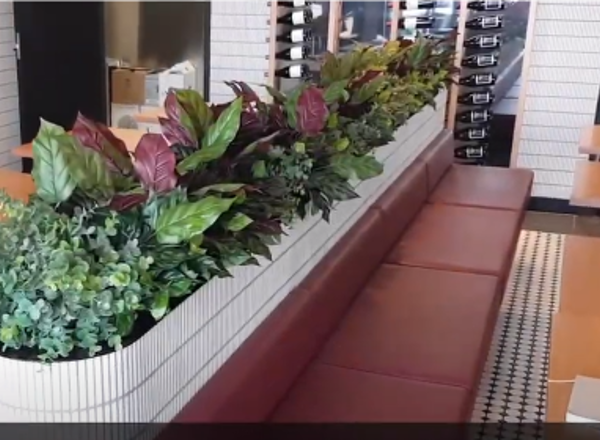 Finishing 'green touches' to well designed inner city bar
