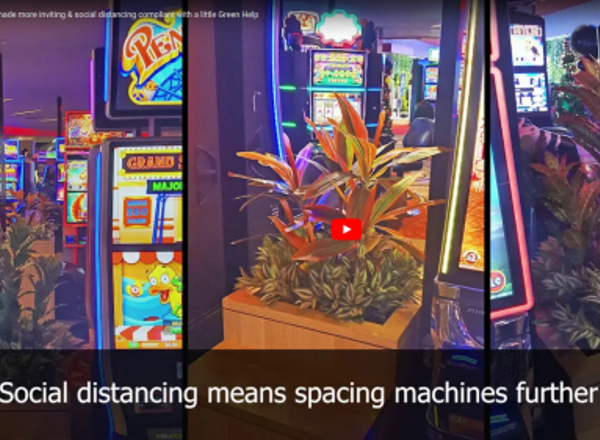 Gaming-Rooms made more inviting & social distancing compliant with a little Green Help
