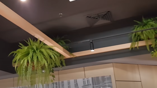 Green Theme in Modern Coffee Shop