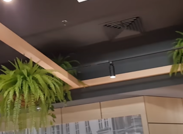 Green Theme in Modern Coffee Shop