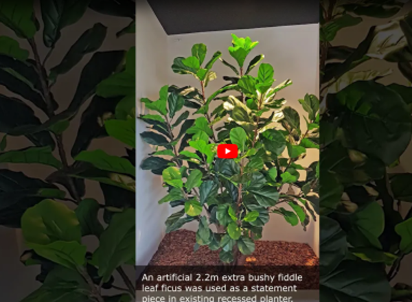 Greenery with Cool Modern Touch