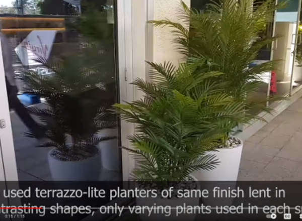 Greening-up of staff meeting area