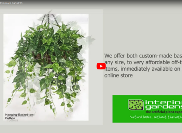 HANGING-BASKETS & WALL-BASKETS
