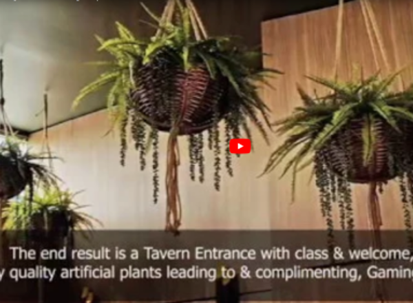 Hanging-Baskets provide cool green looks