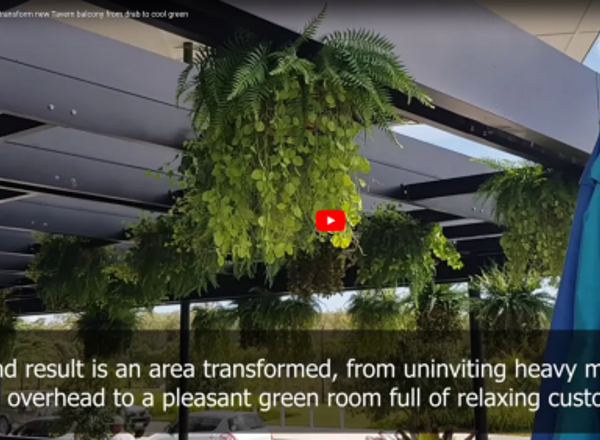 Hanging-Baskets transform new Tavern balcony from drab to cool green